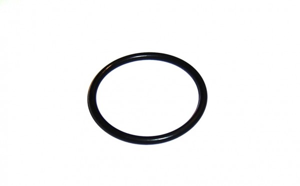 Roost Viton o-ring, between flange + elbow (until model 2009)